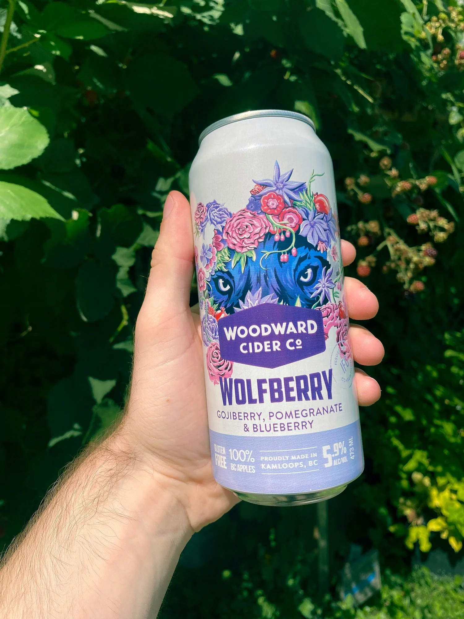 ethan-woronko-illustration-cider-woodward-cans-wolfberry.jpg