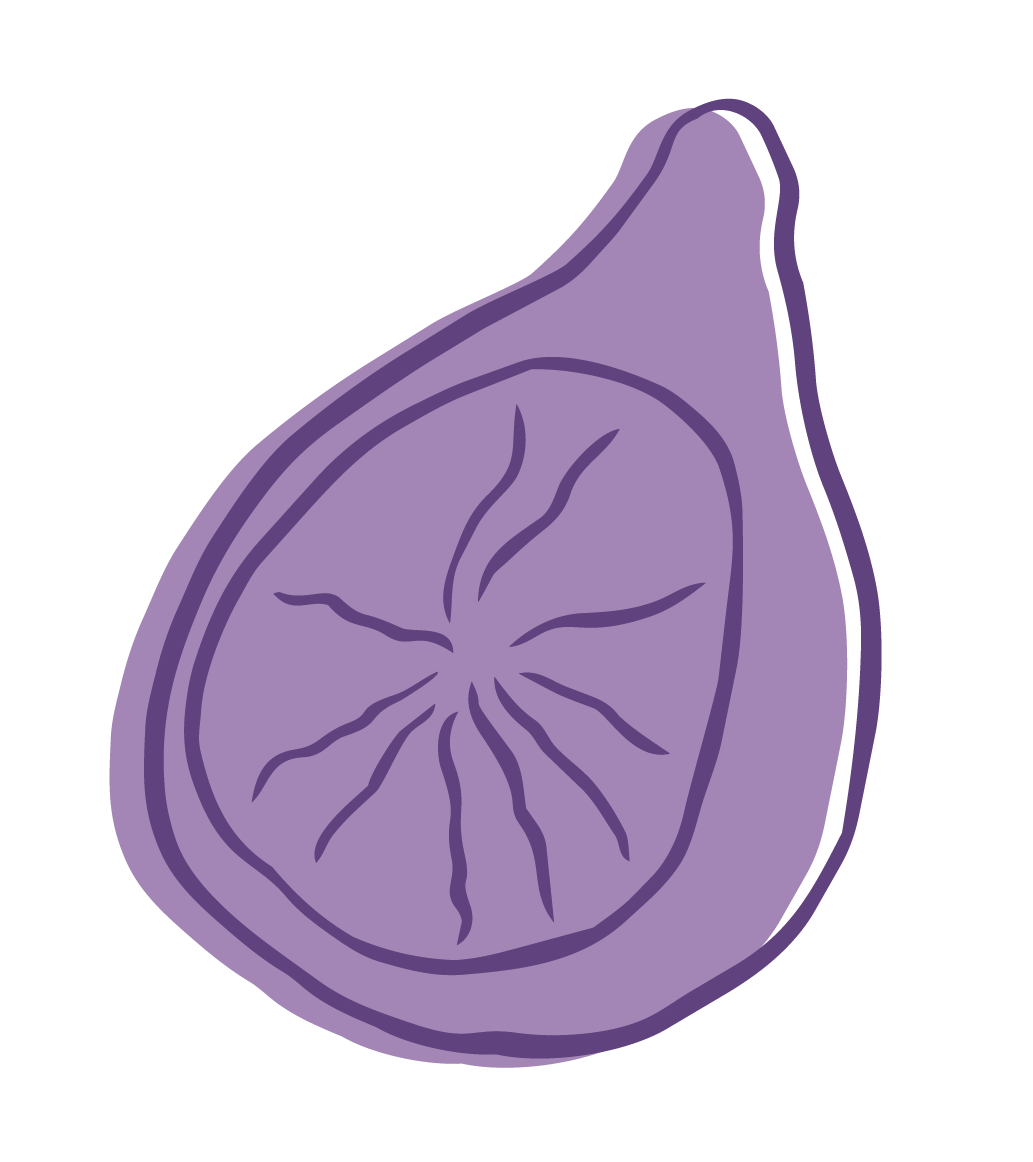 A purple illustration of a sliced fig showing the interior with seeds and pulp.