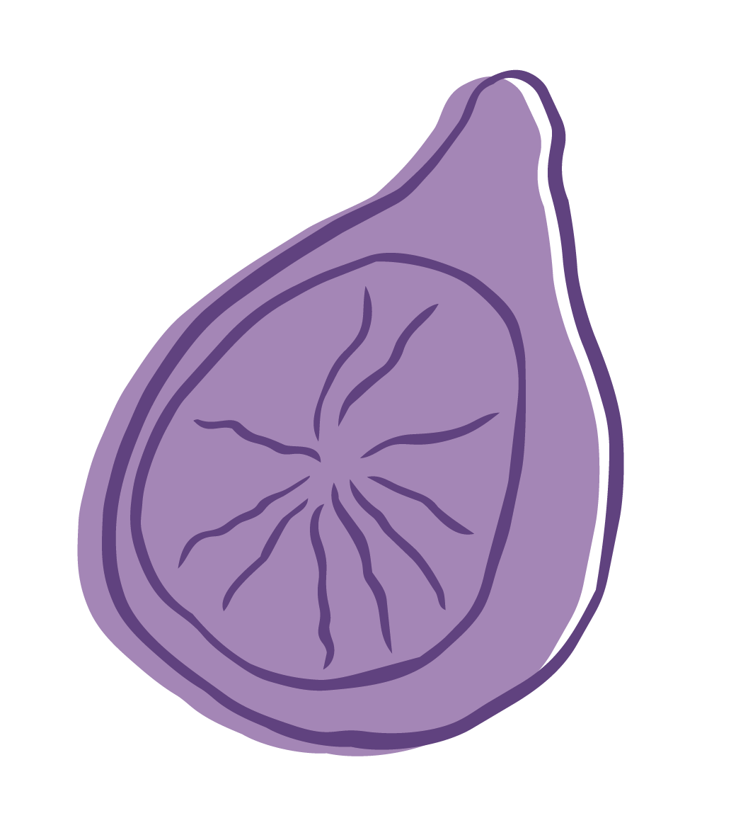 Illustration of a sliced purple fig showing the inside with seeds and flesh.