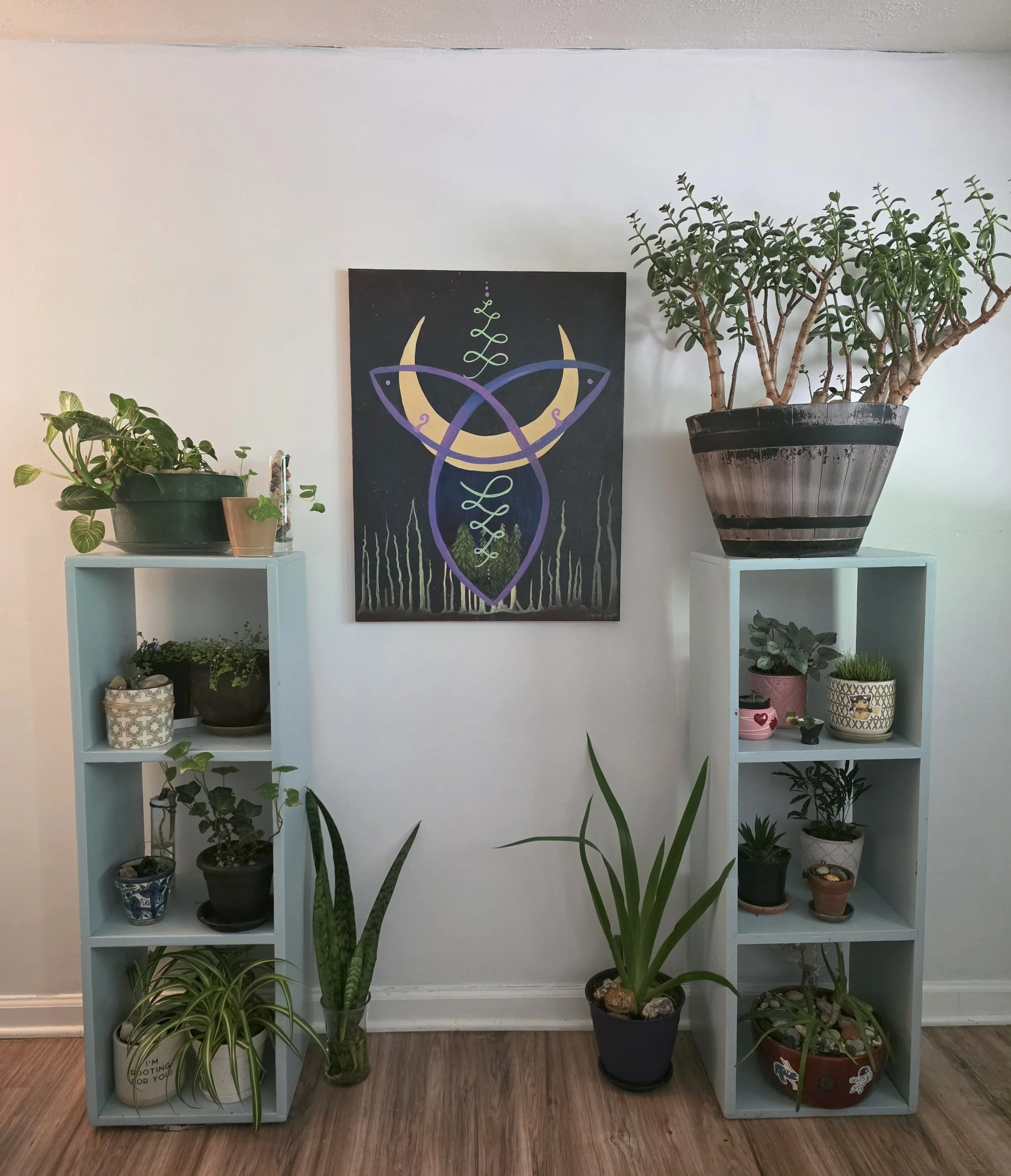 20250711_145545.jpg