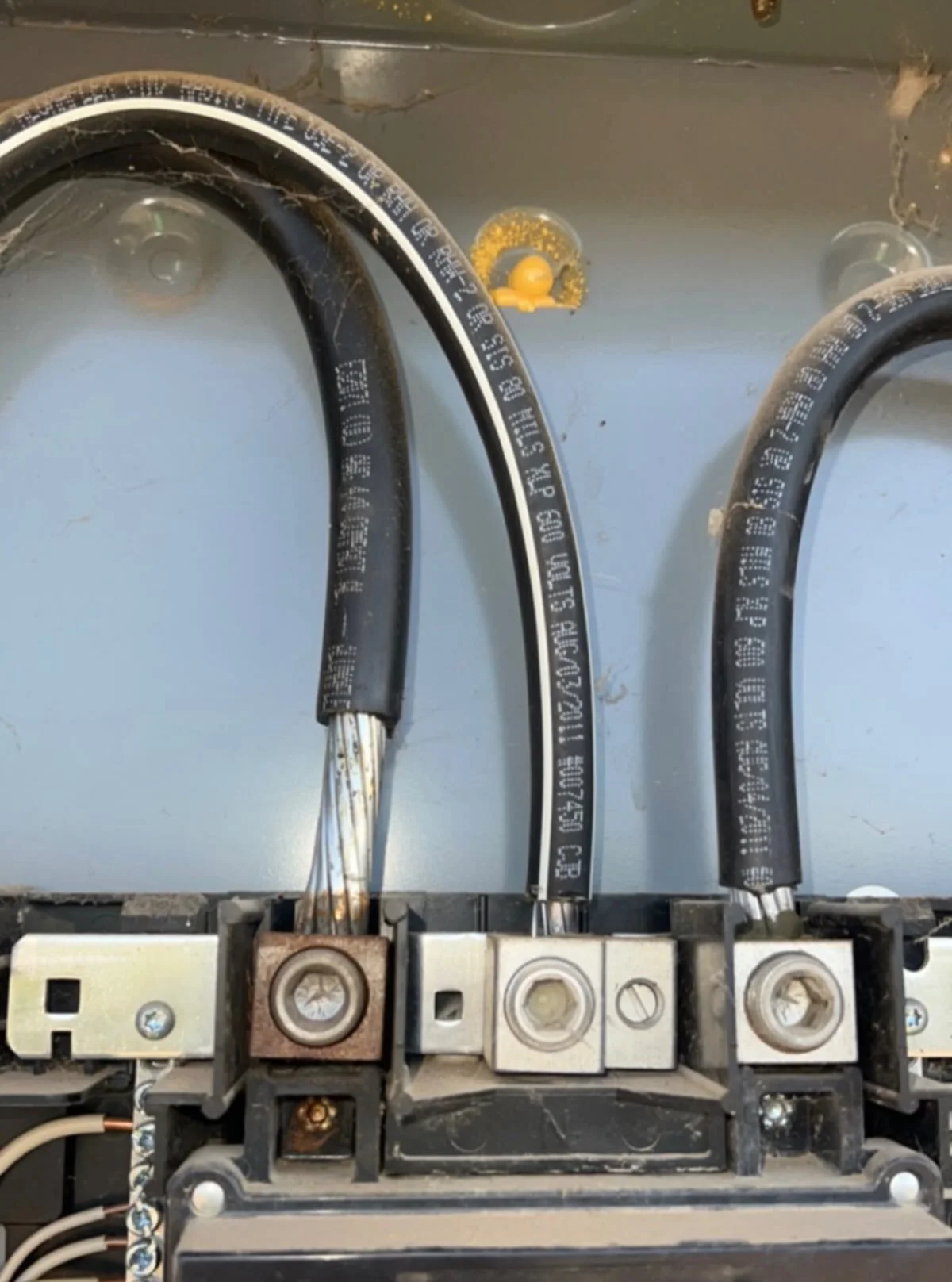 Someone got a tad carried away stripping that wire!