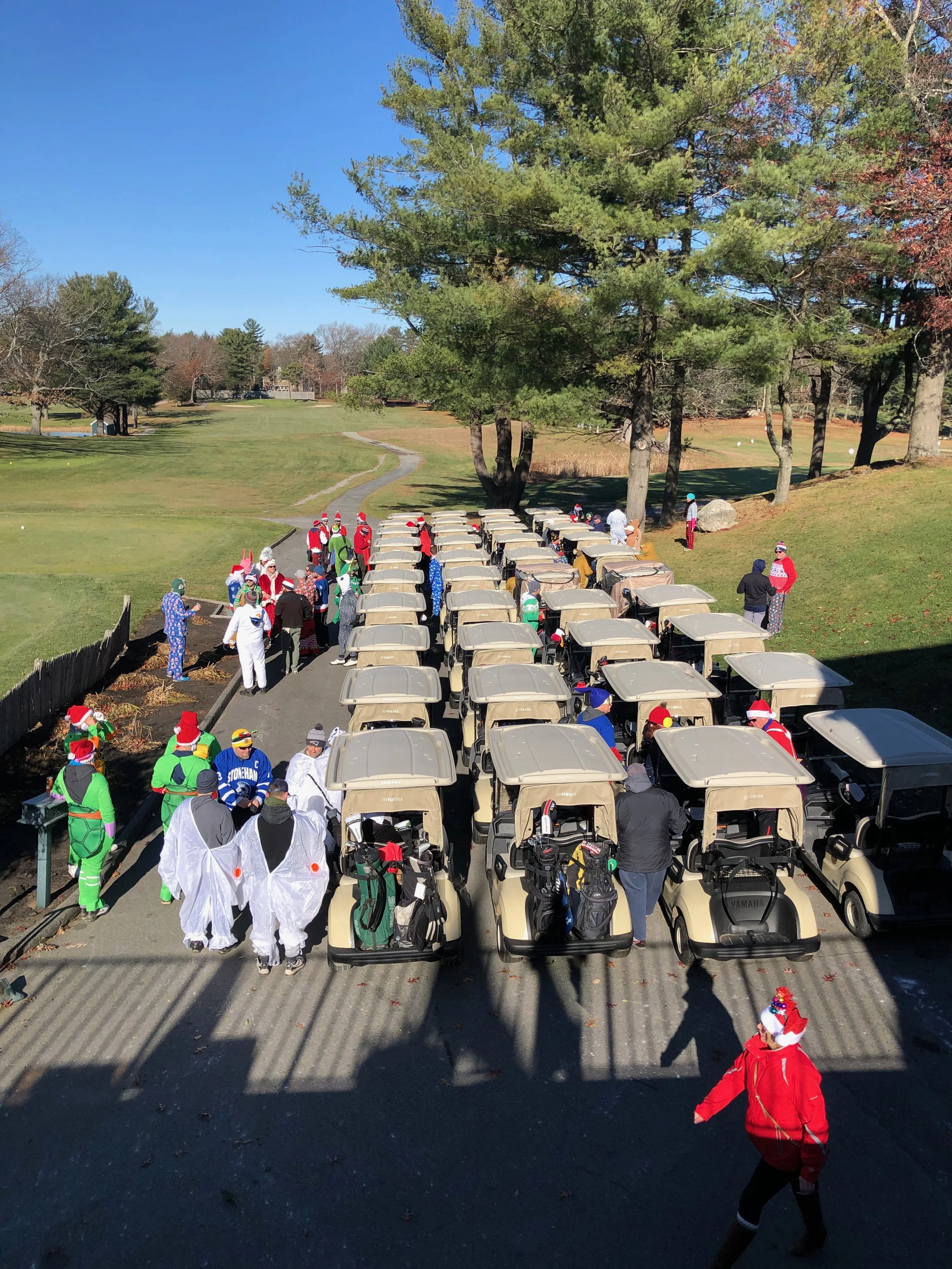 Golf carts lined up on a course as people in festive Christmas costumes gather under trees.