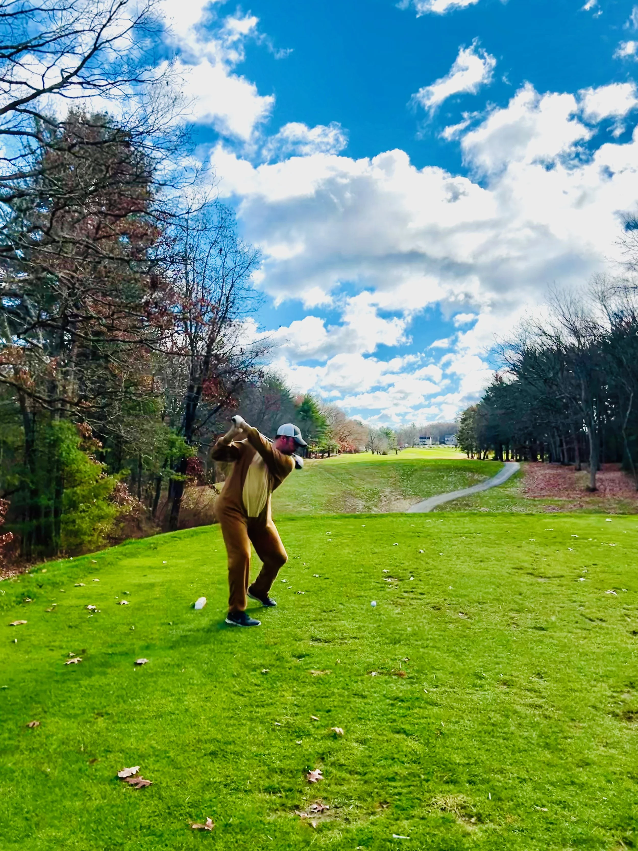 Person golfing on a lush green lawn beneath a bright blue sky with fluffy clouds and surrounding trees
