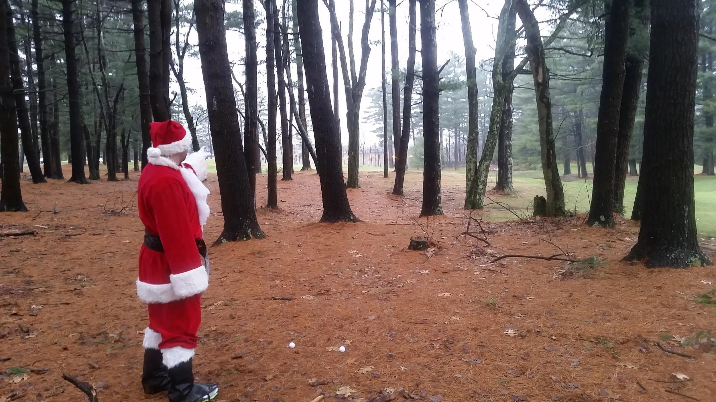 Person dressed as Santa Claus standing in a pine forest