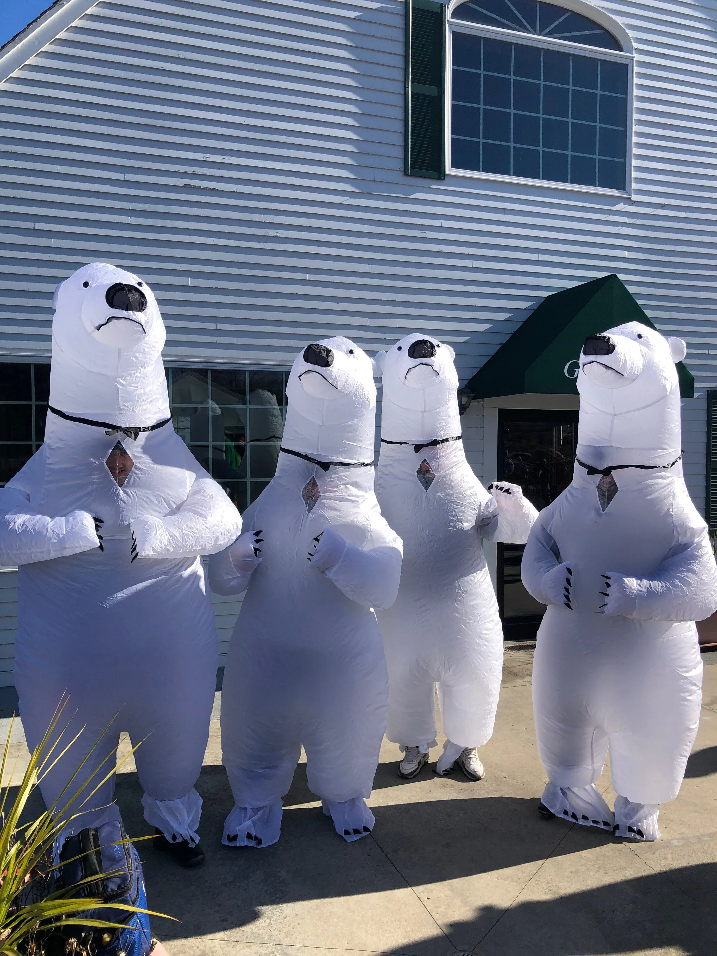 Four white inflatable polar bear decorations outside a building.