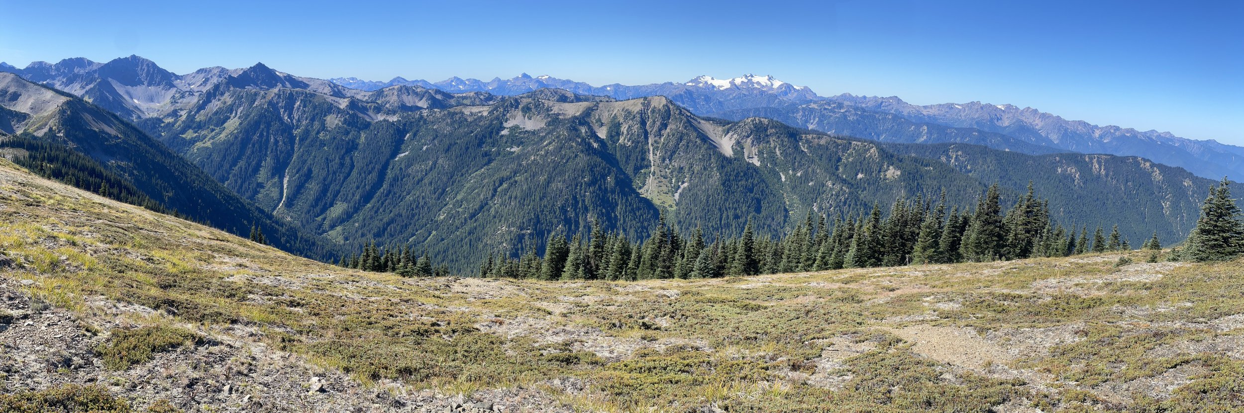 Olympic National Park