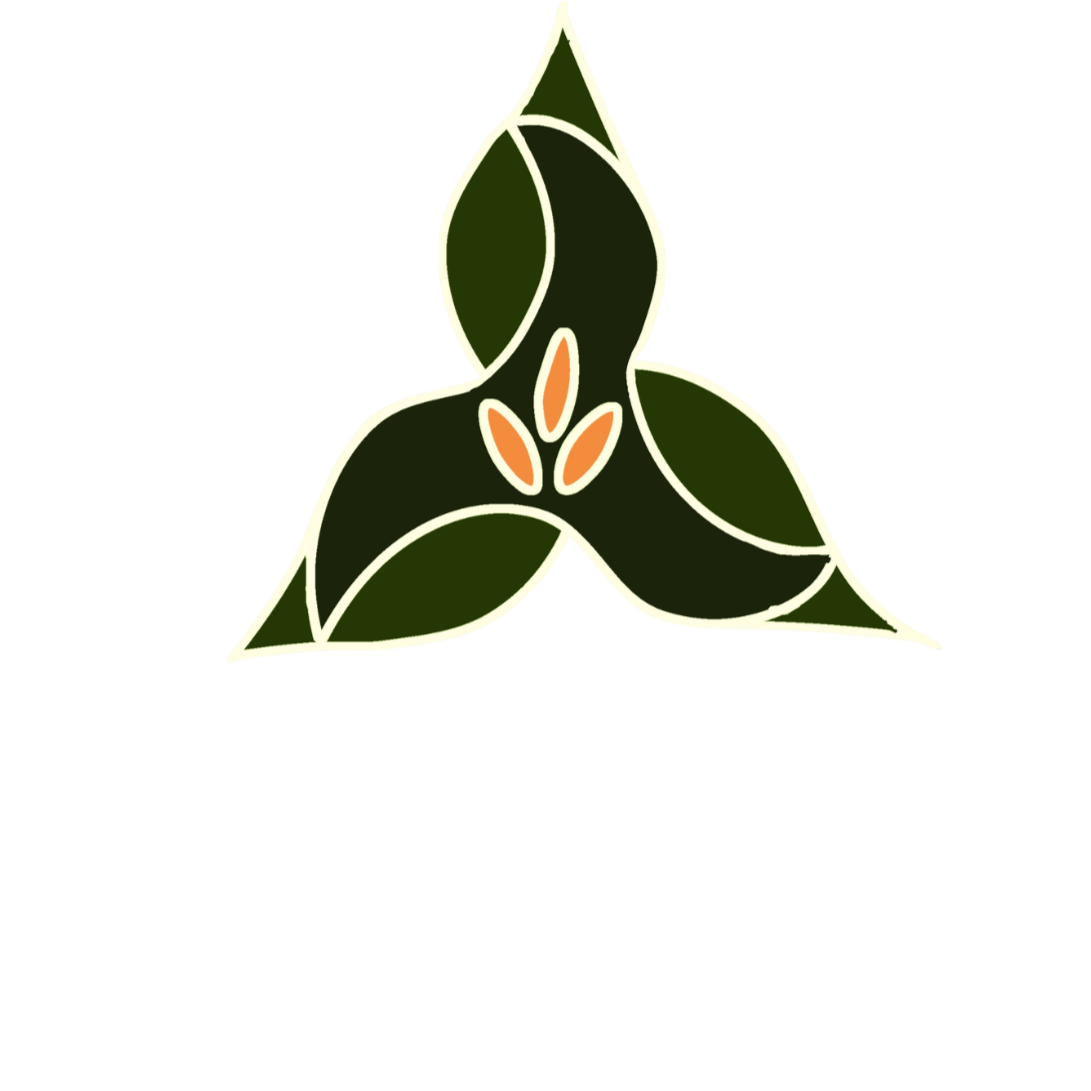 Your Site Title
