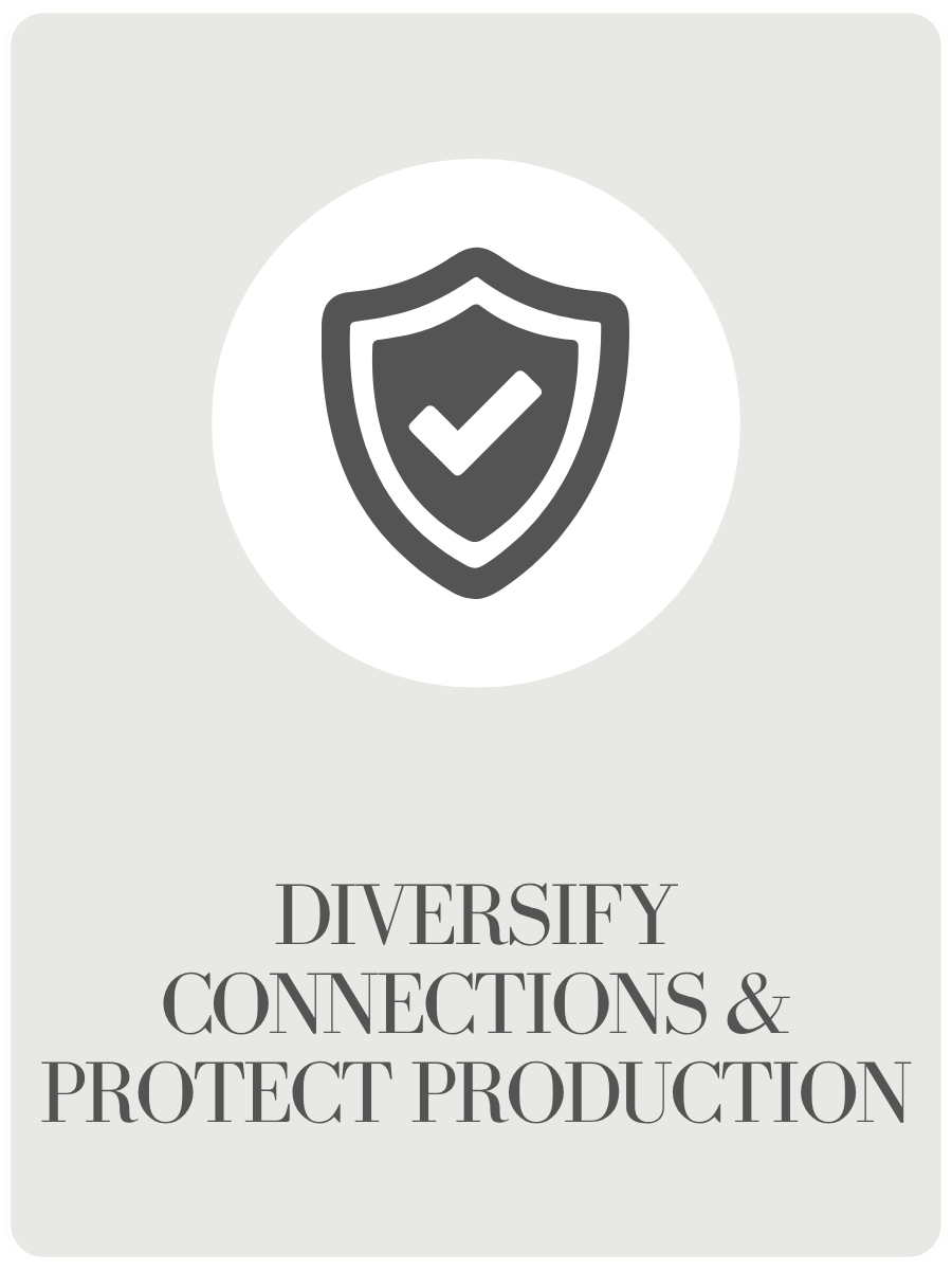 Shield with checkmark icon above the text “DIVERSIFY CONNECTIONS & PROTECT PRODUCTION.”
