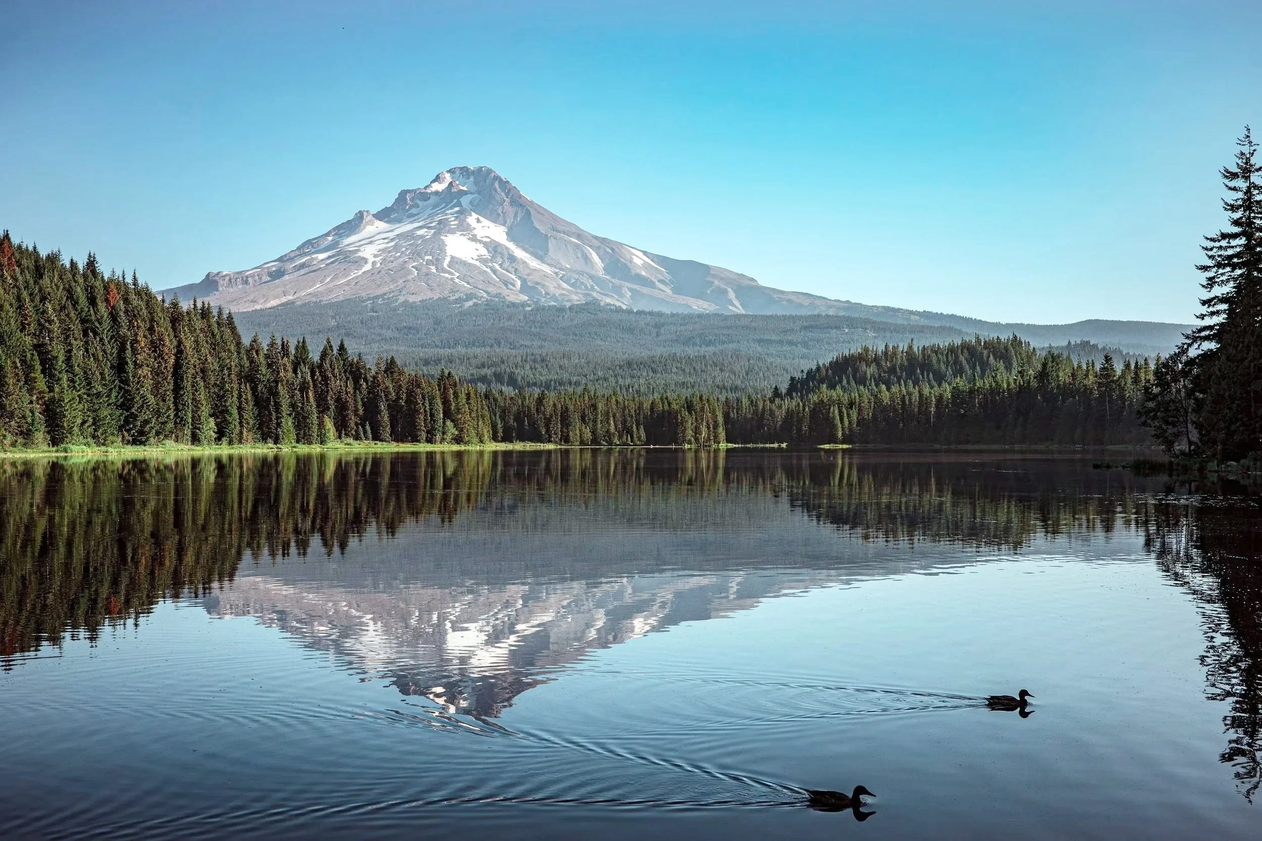 Trauma Therapy in Bend, Oregon