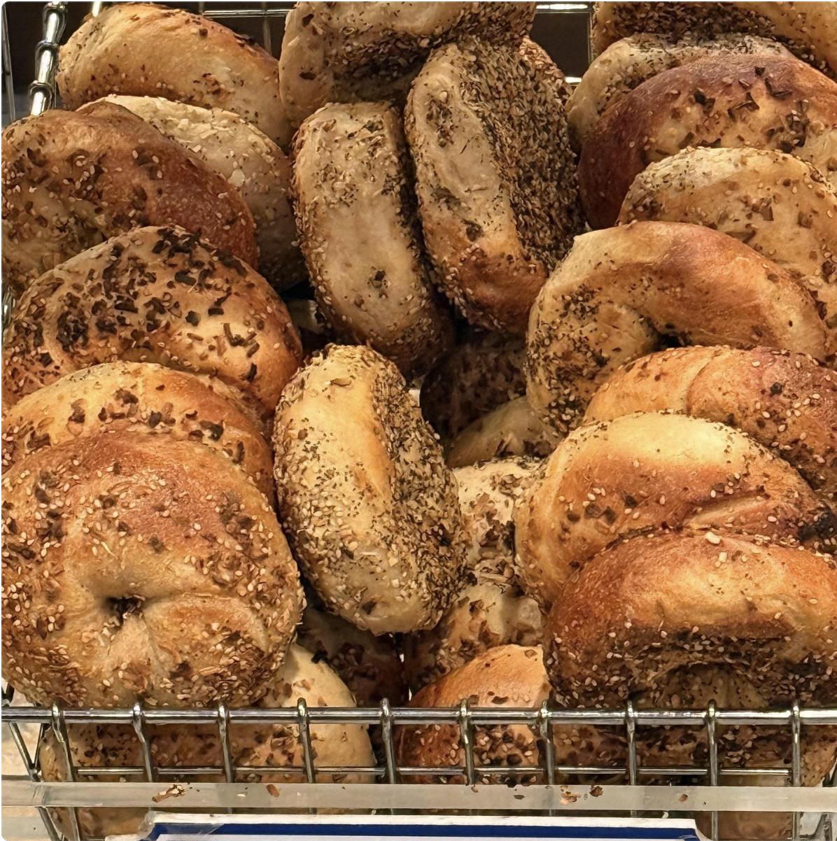 Fresh Bagels Every Day