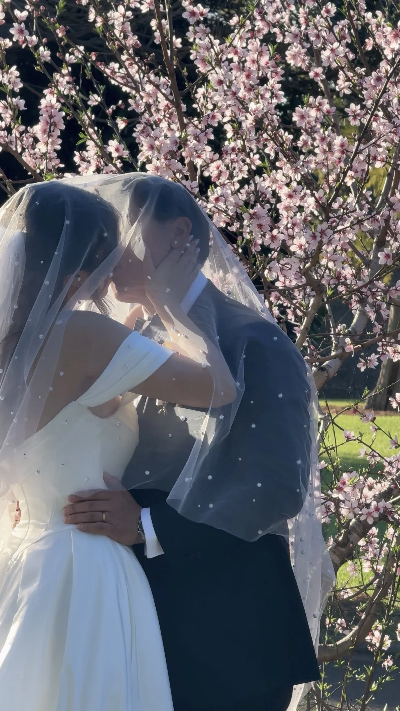 A bride and groom kissing under a veil with pink flowering tree in the background.