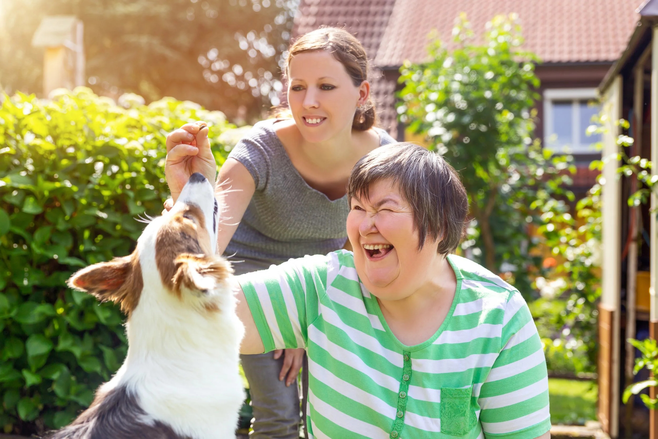 Two women and a border collie puppy playing outdoors in a garden on a sunny day. One woman with brown hair wearing a gray shirt is feeding the puppy. The other woman with short gray hair wearing a green and white striped shirt is smiling.