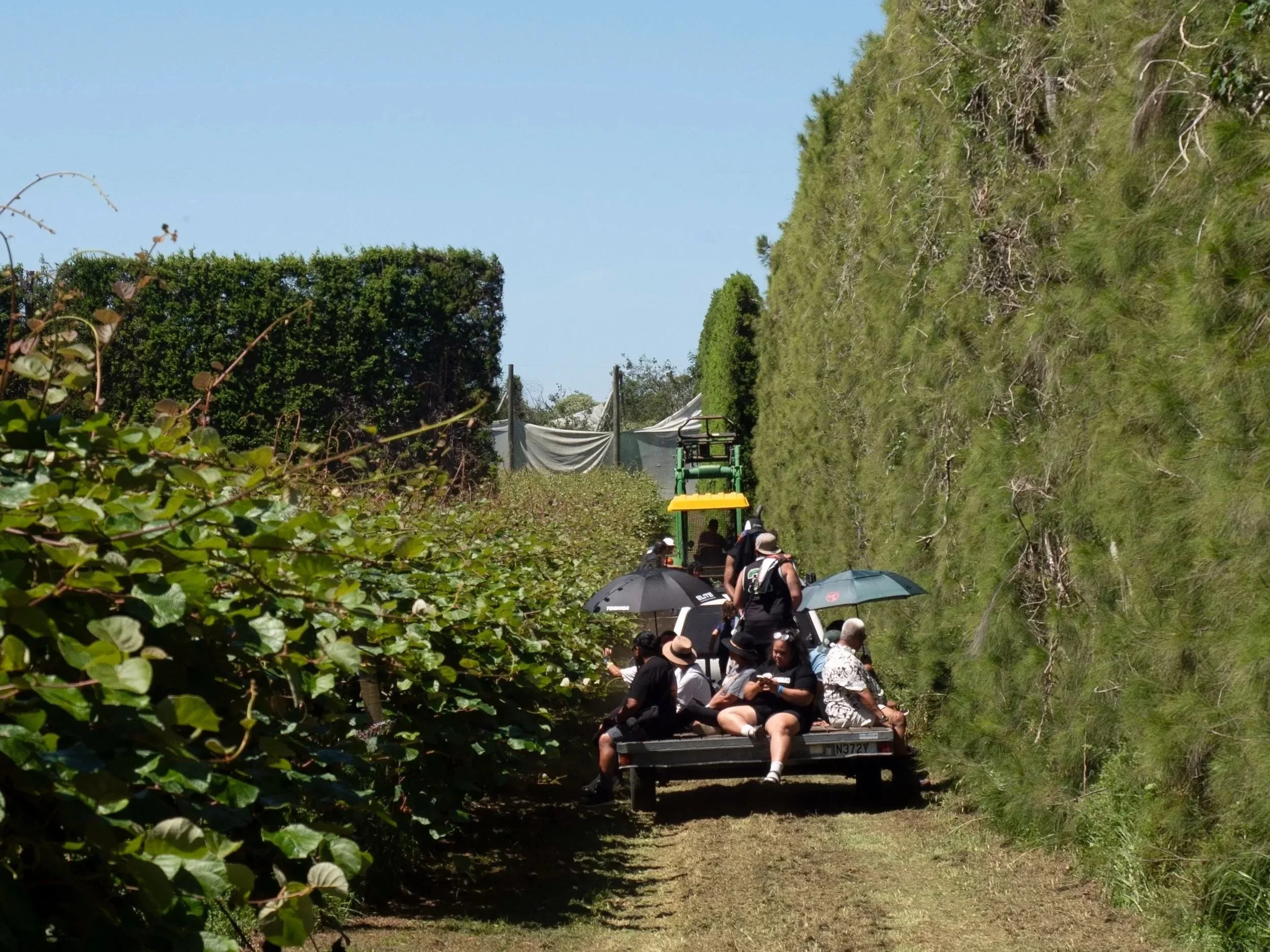 Tourists riding a tractor-pulled trailer through a lush garden trail under a clear blue sky