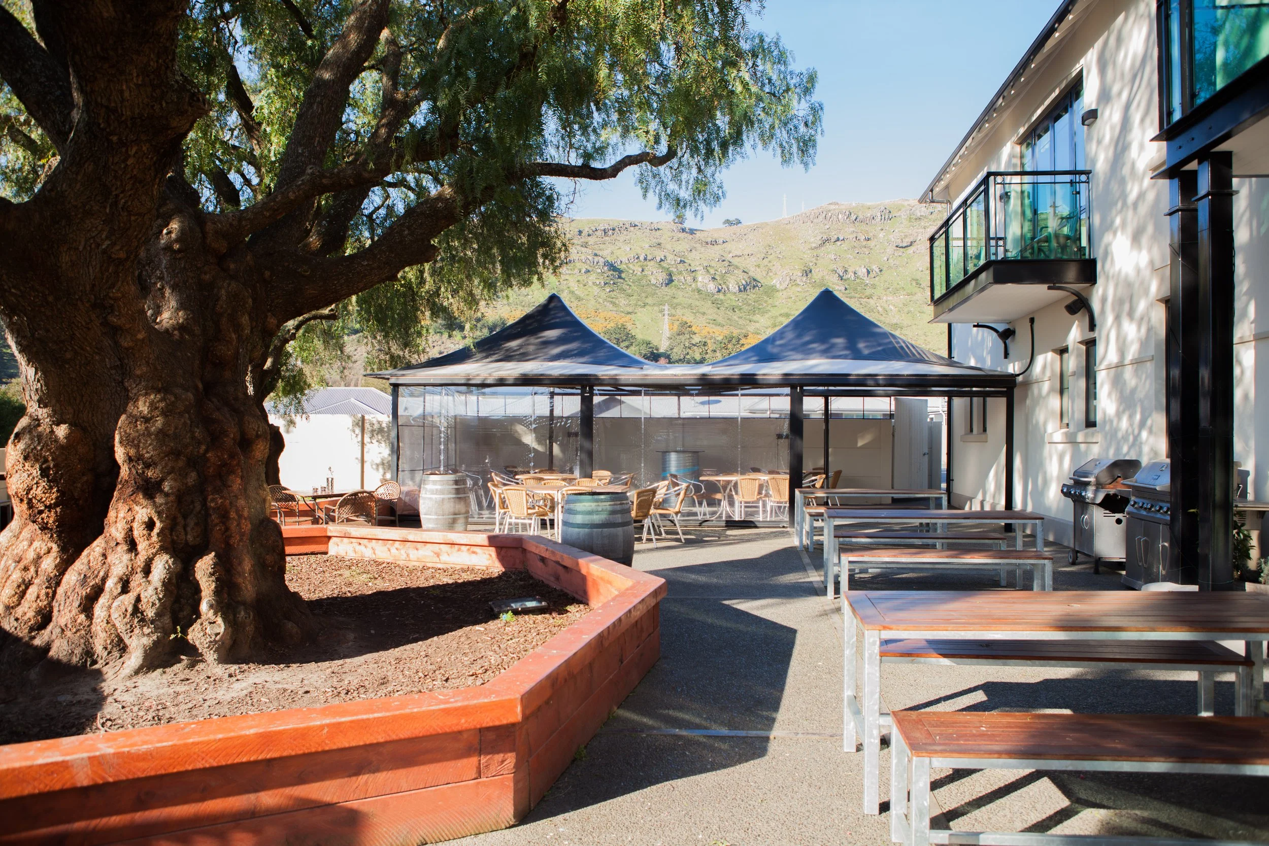 Outdoor restaurant patio with seating, umbrellas, barbecue grills, a large shade tree, and rocky mountain views