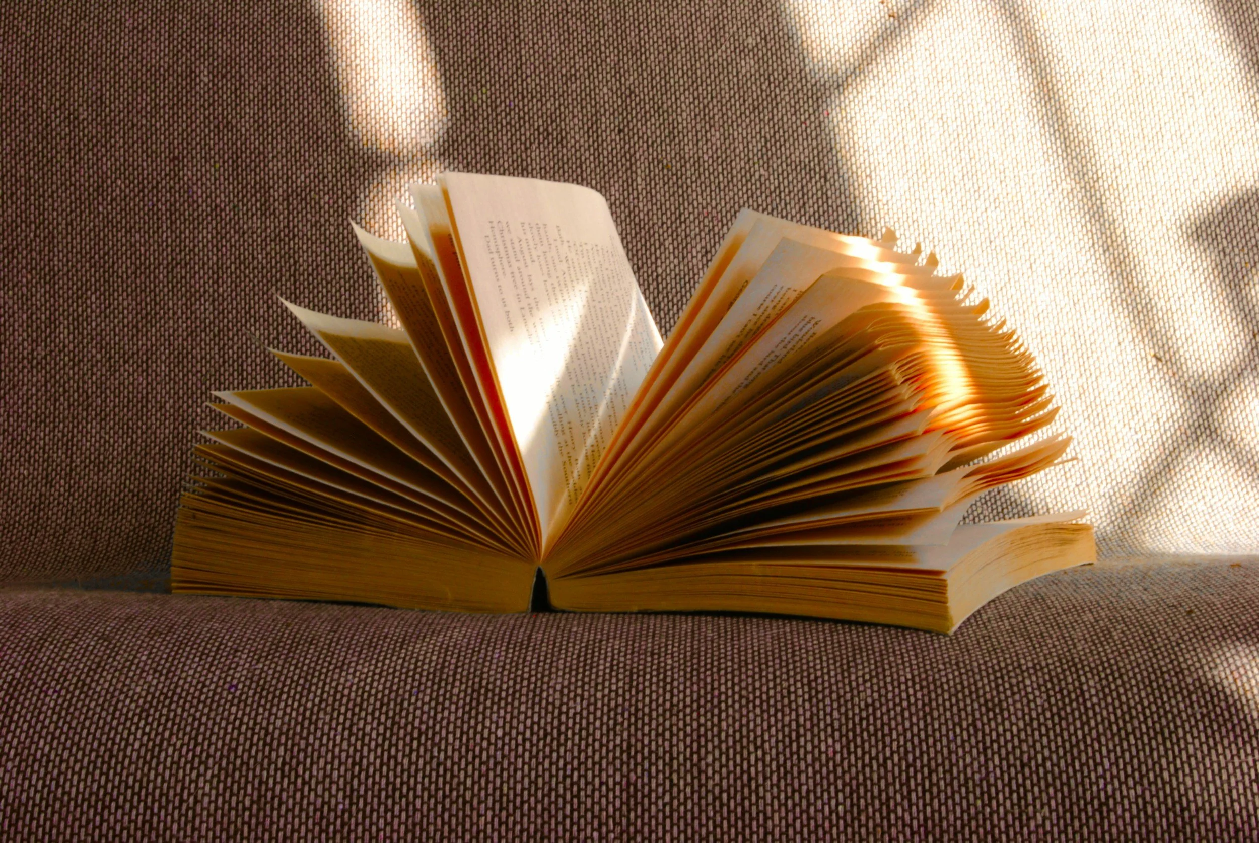 Open book with fanned pages resting on a couch in warm sunlight