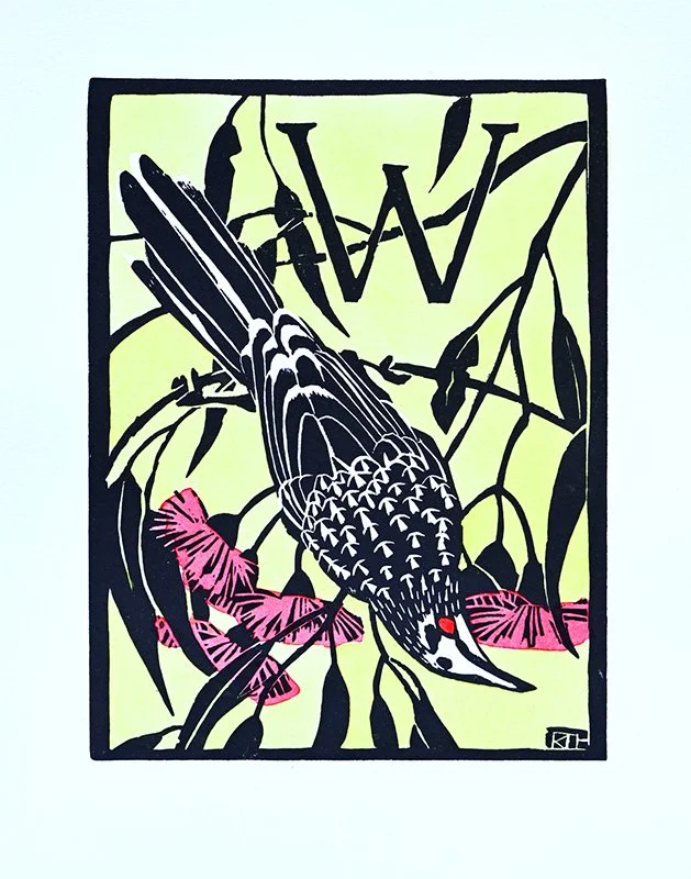 W is for Wattlebird