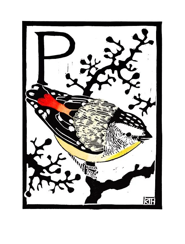 P is for Pardalote