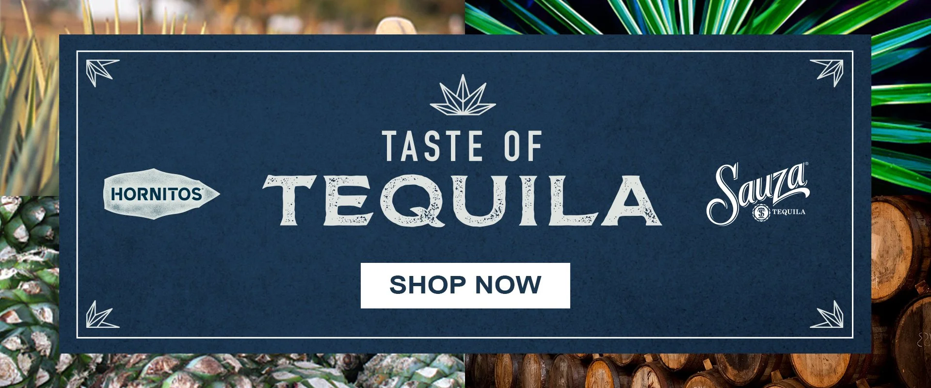 TasteOfTequila.jpg
