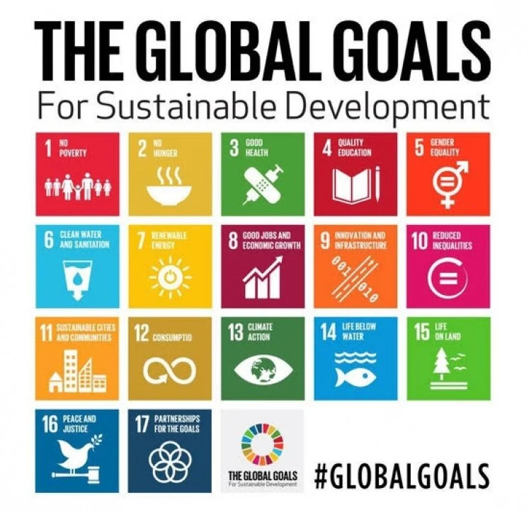 sdgs.jpeg