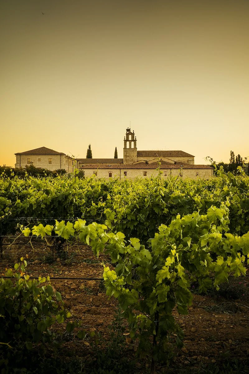 Abadia Retuerta LeDomaine Hotel overview.jpg