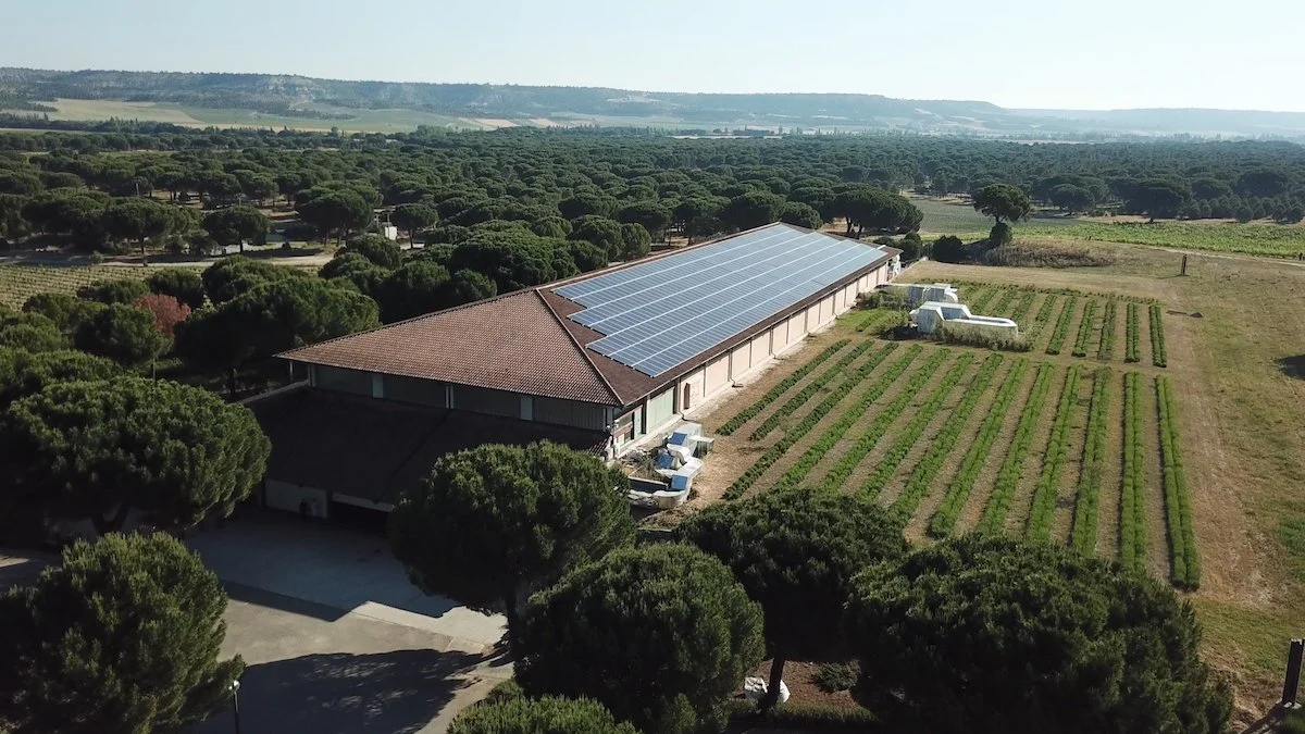 Abadía Retuerta Solar Panels copy.jpg