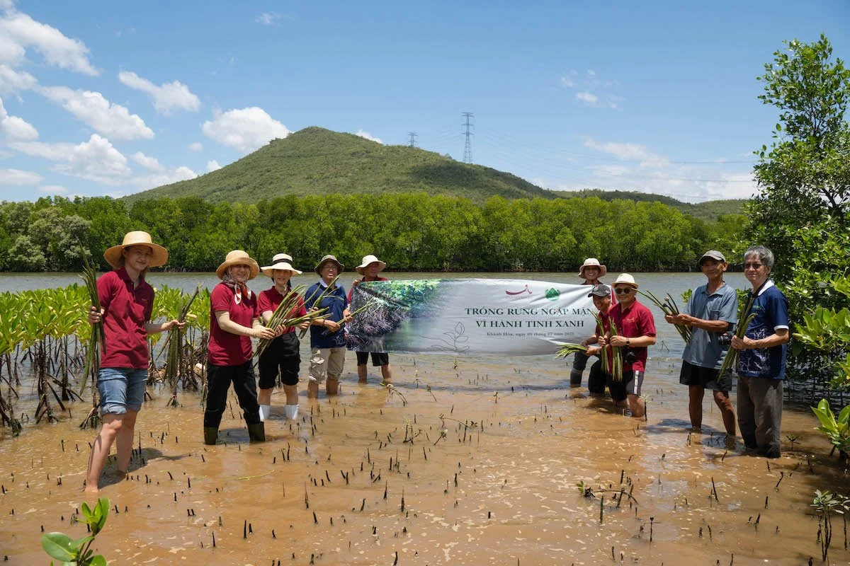 Mangrove Planting.jpg