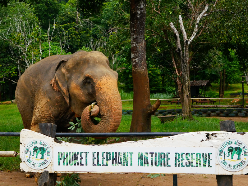 Phuket Elephant Nature Reserve.png