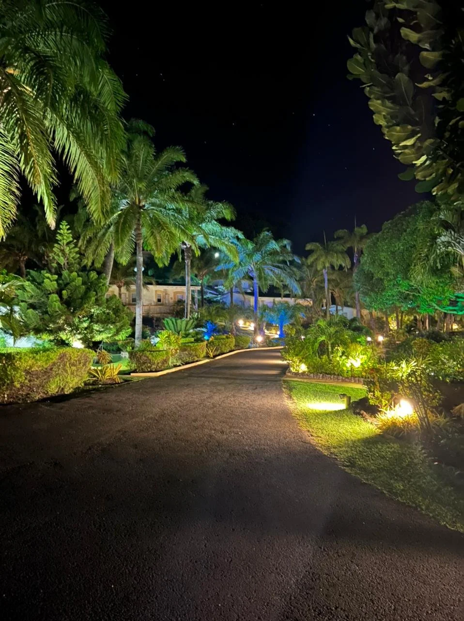 led and solar garden lighting.jpg