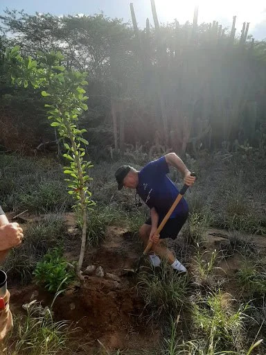 EwaldBiemans_planting-trees.jpg