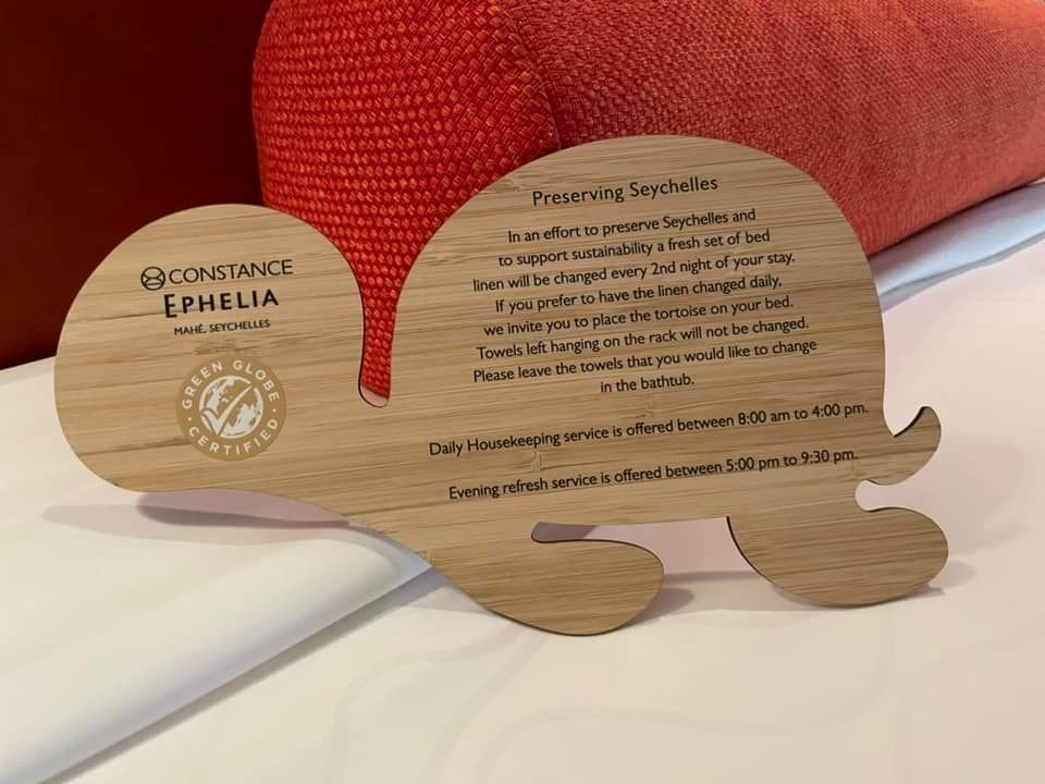 wooden tortoise.jpg