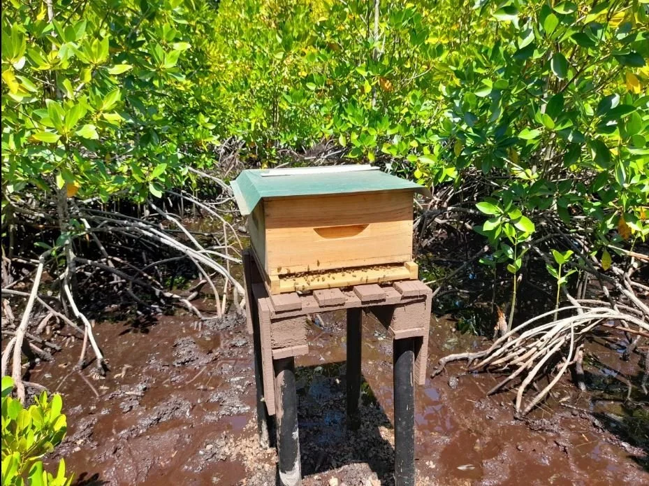 beehive.jpg