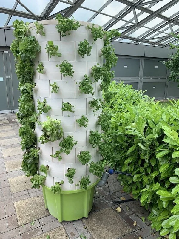 Crowne Plaza Budapest - Hydrophonic system.jpg