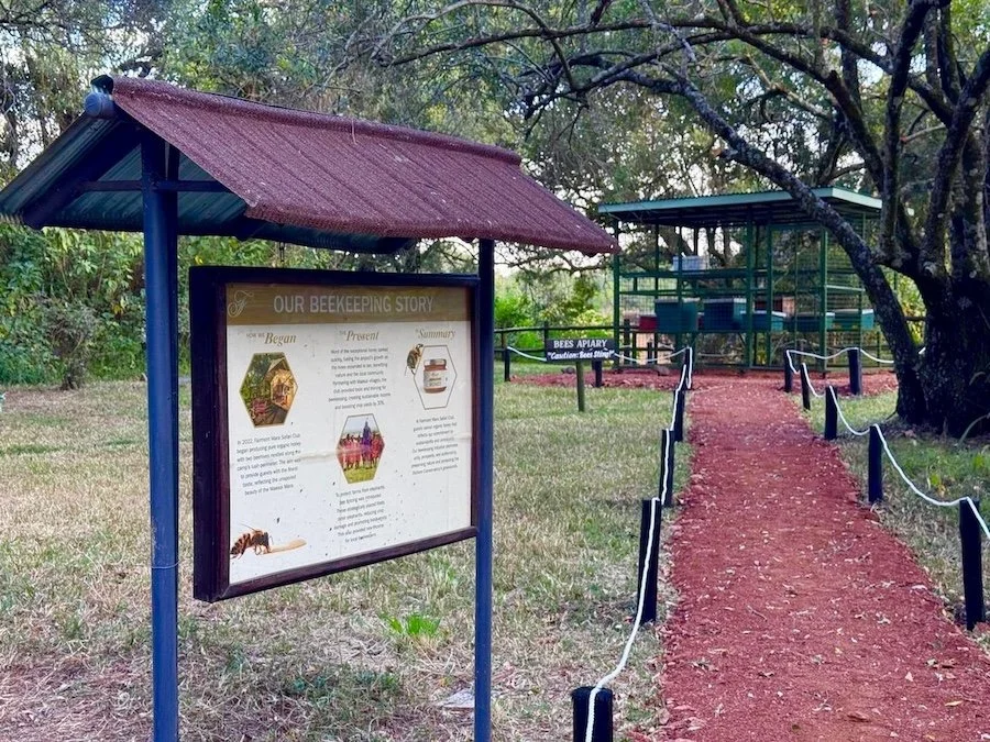 FMSC - Bee Apiary.jpg