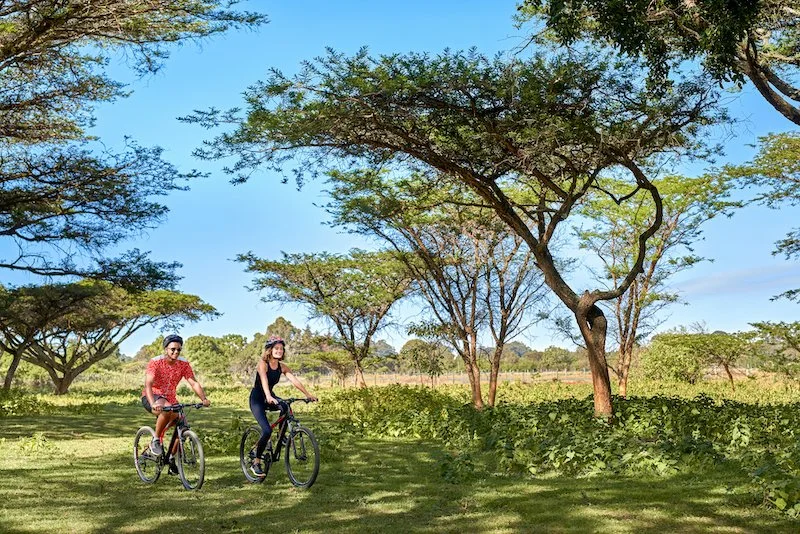 Activities - Bike Safari.jpg
