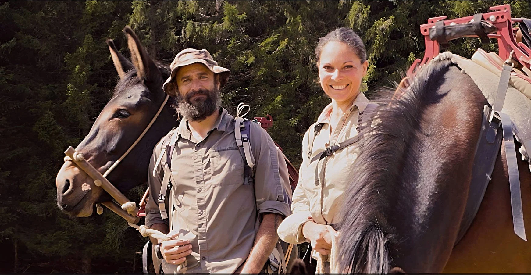 Delphine &amp; Chris - Smart as a mule