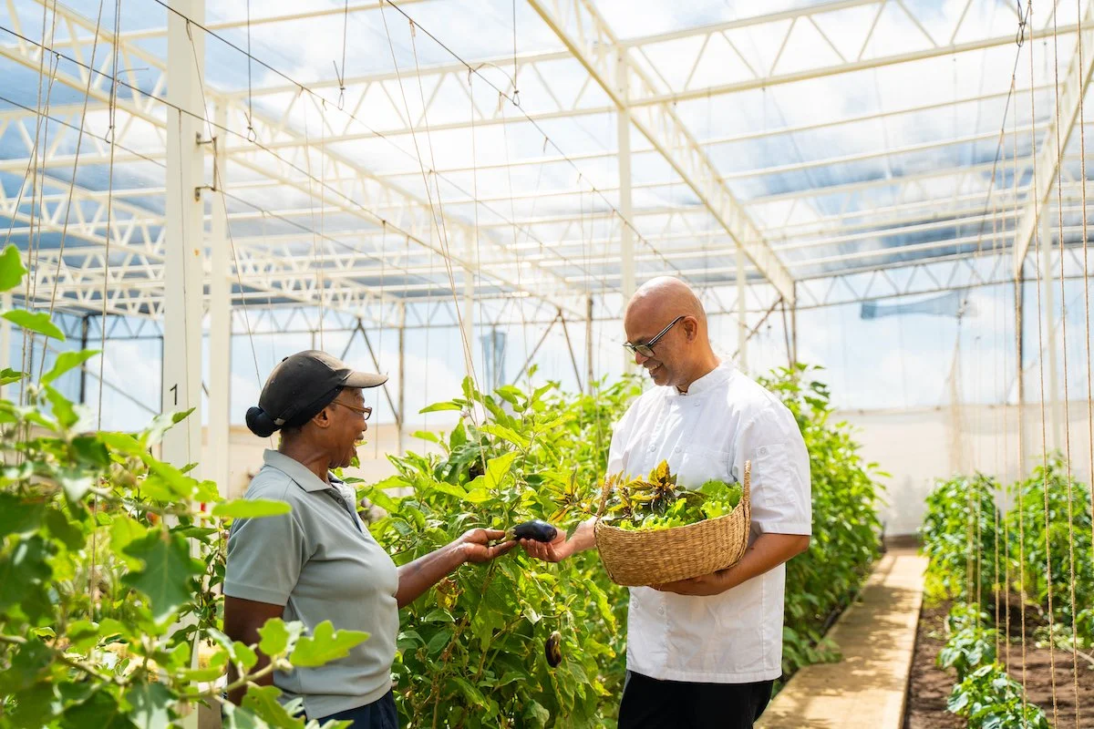 24 Greenhouse.jpg