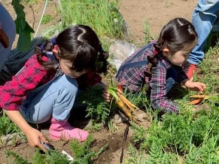 kids in garden.jpg