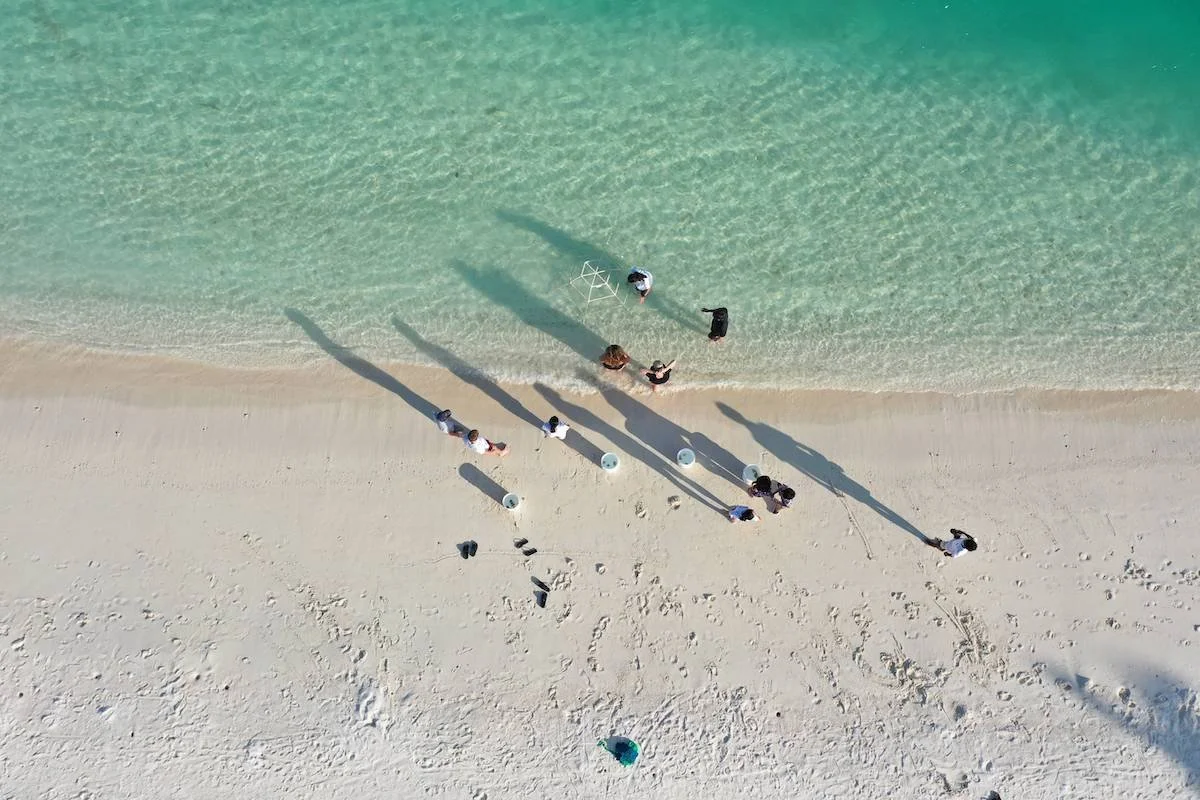 DJI_0185.jpg