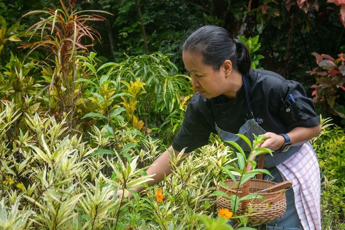 Secret Bay Botanica Boutique Farm