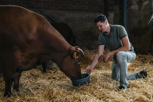 Hyatt Place Amsterdam Airport - Butcher's Choice Cow Farmer.jpg