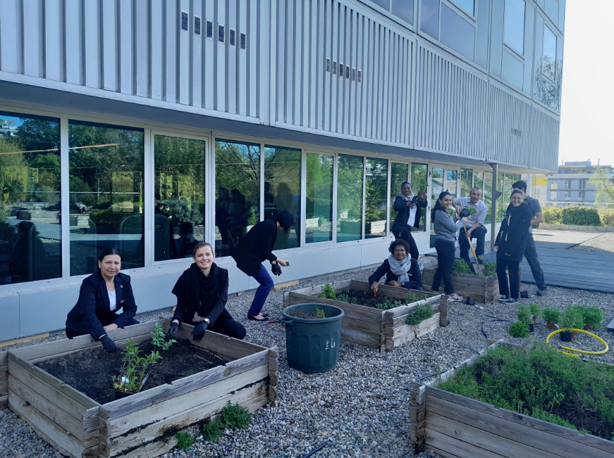 Flower Planting