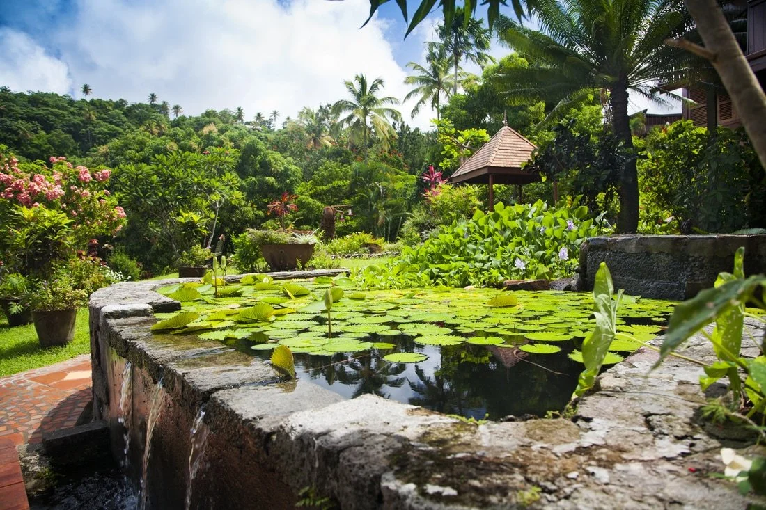 property-pond_orig.jpeg