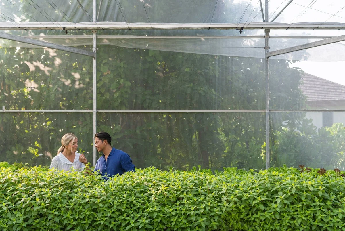 Le-Méridien-Maldives-Resort-&-Spa-The-Greenhouse-Tour.jpg