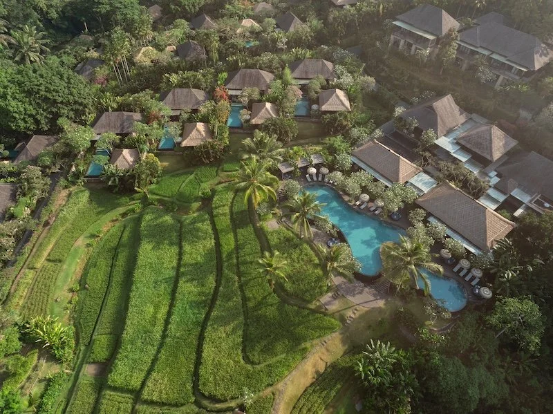 Mandapa_Rice Field_0733A.jpg