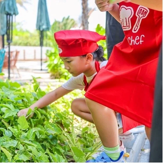 Little Chef Cooking Class 2 .jpg