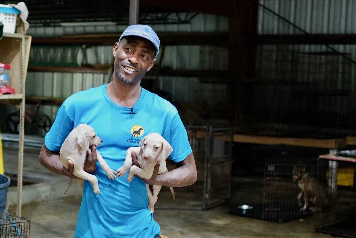 SoS-JamaicaMontegoBayAnimalHaven(16).jpeg