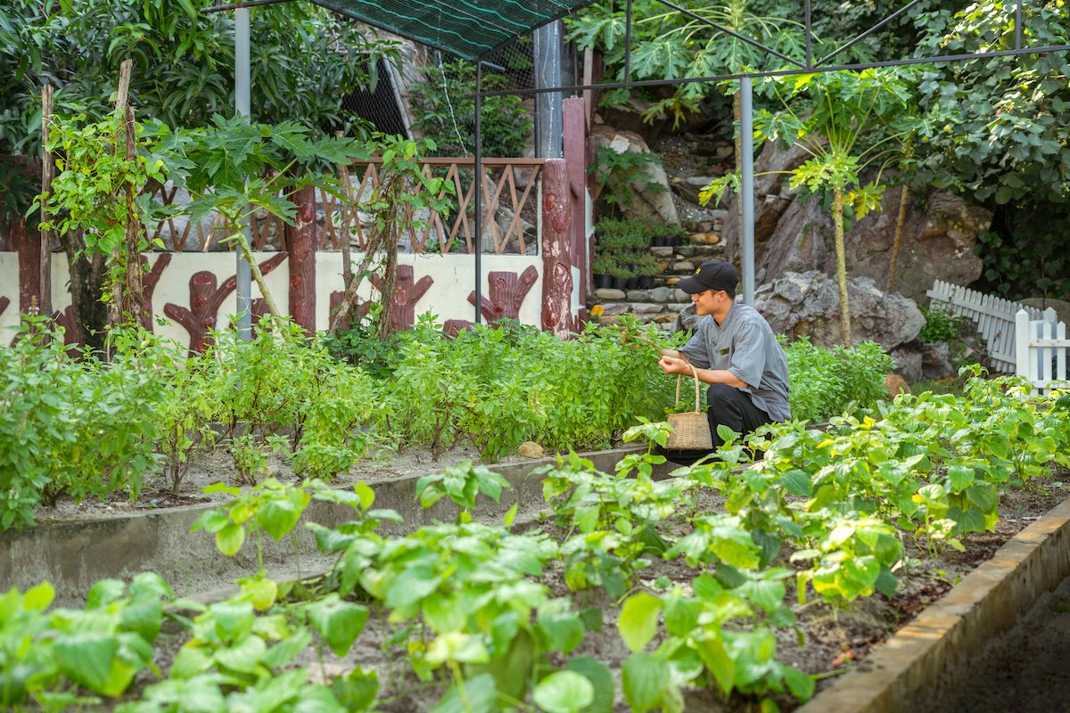Garden.jpg