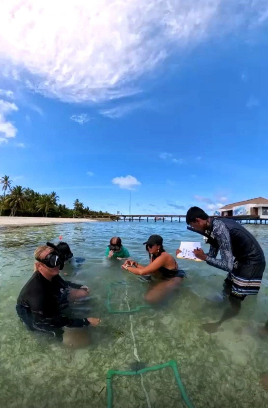 Seagrass_1.jpg