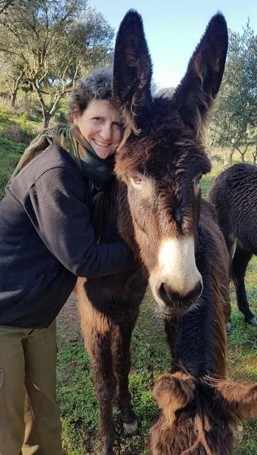 63455a52bd7c1896f4370337_quintamarugo-animals-donkeys-maryann-768x1360-tny-p-500.jpg
