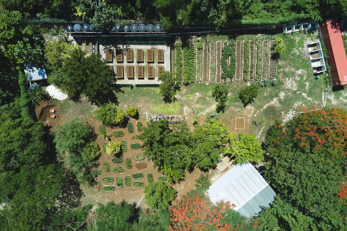Garden.jpg